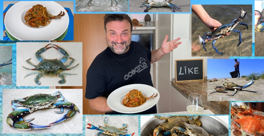 Una ricetta può salvare il mare? Sì se gli  ingredienti sono quelli consigliati da Oceanus