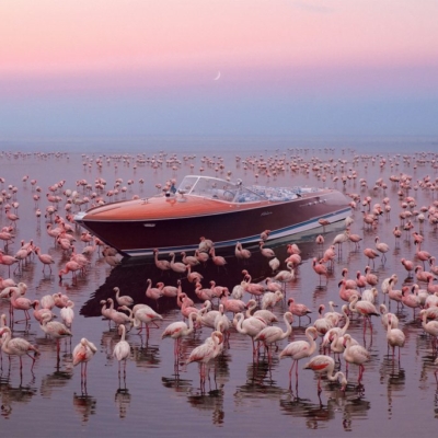 Bellini Gallery, dall'incontro fra nautica e arte emergono emozioni straordinarie