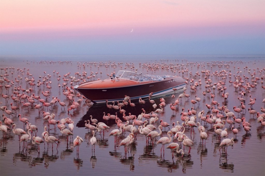 Bellini Gallery, dall'incontro fra nautica e arte emergono emozioni straordinarie