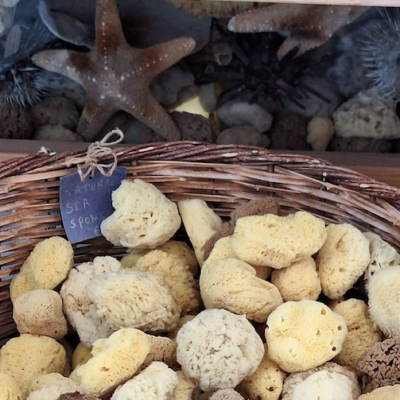 In crociera fra Croazia, Montenegro e Grecia  Fra tartarughe, gatti e....... colpi di spugna