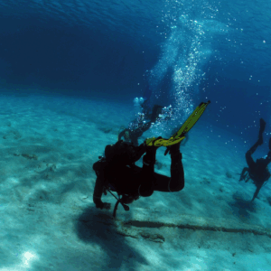 Sott’acqua avvengono incantesimi? Per vederli  avverarsi basta fare un’immersione magica