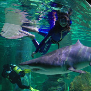 Marina Kazankova, l’attrice che sott’acqua  è ghiaccio bollente come Grace Kelly