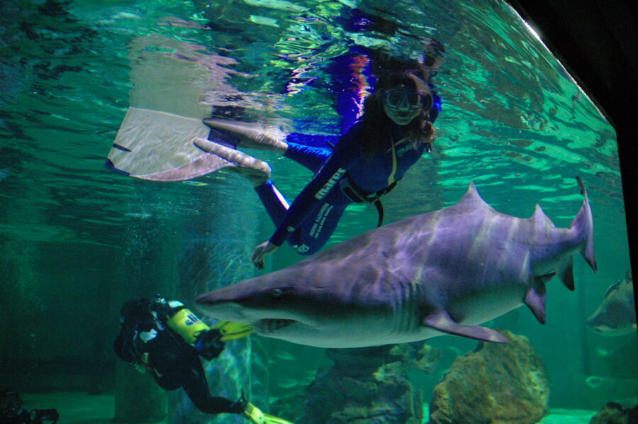 Marina Kazankova, l'attrice che sott'acqua  è ghiaccio bollente come Grace Kelly