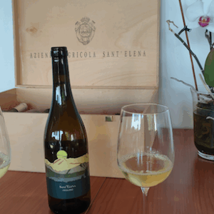 Sant’Elena, l’isola nel mare dei vini d’autore  si trova tra le colline del  Friuli Isonzo