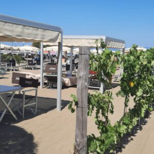 Bagni Segesta, il “tempio” della vacanza   dove in spiaggia fiorisce un giardino