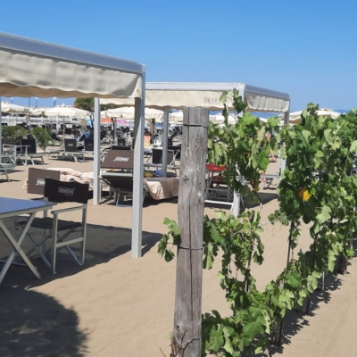 Bagni Segesta, il "tempio" della vacanza   dove in spiaggia fiorisce un giardino