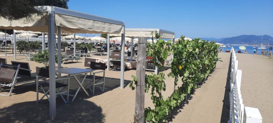 Bagni Segesta, il "tempio" della vacanza   dove in spiaggia fiorisce un giardino