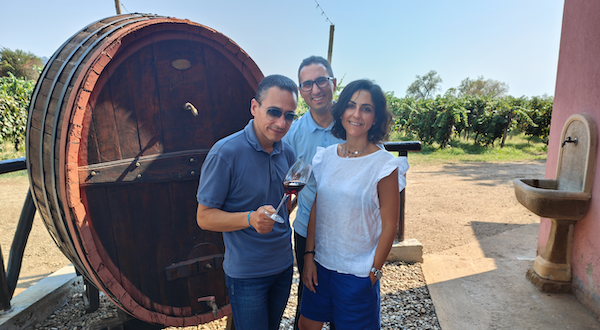 Cantina Zagarella, il segreto dei suoi vini è nel sale marino e nelle ceneri vulcaniche