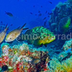Le tue più belle foto di mare? Vendile a chi  cerca  sfondi per dekstop, poster, pubblicità