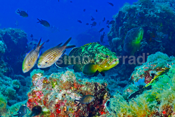 Le tue più belle foto di mare? Vendile a chi cerca sfondi per dekstop, poster, pubblicità