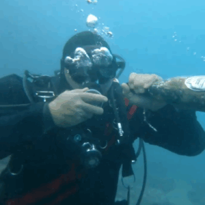 Brindisi di Natale? Questi sub l’hanno fatto  sott’acqua. Servendosi dalla cantina sommersa