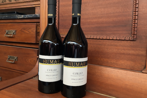 Messaggi dentro una bottiglia? Questi  raccontano un mare di vini d'autore