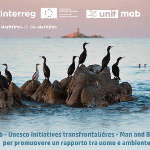 Uomo e mare, un rapporto spesso difficile  Ma La Maddalena può renderlo più sostenibile