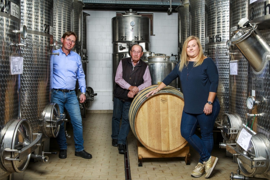 Humar, dall'unione fra terra e mare nascono vini  perfetti per piatti di pesce, crostacei, molluschi