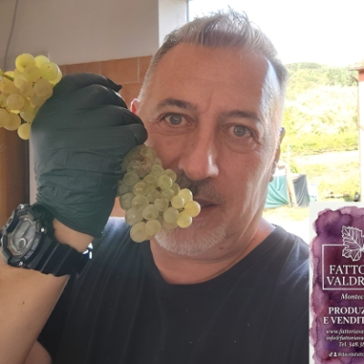 Valdrighi, c'è un mare di vini antichissimi  che bagna le terre della Montecarlo toscana