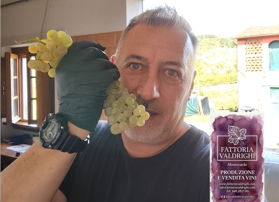 Valdrighi, c'è un mare di vini antichissimi  che bagna le terre della Montecarlo toscana